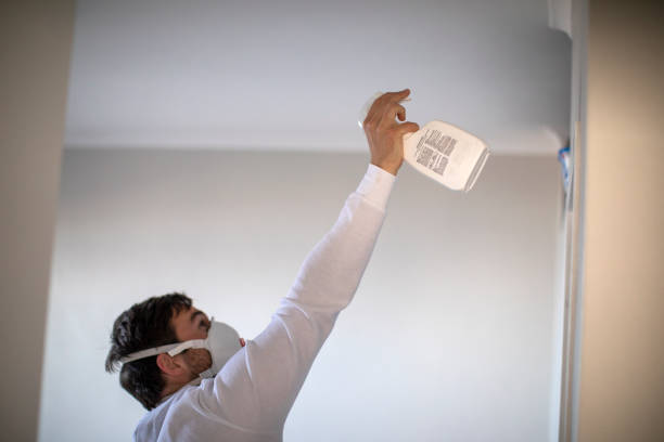 Best Residential Mold Remediation in Grantsville, UT